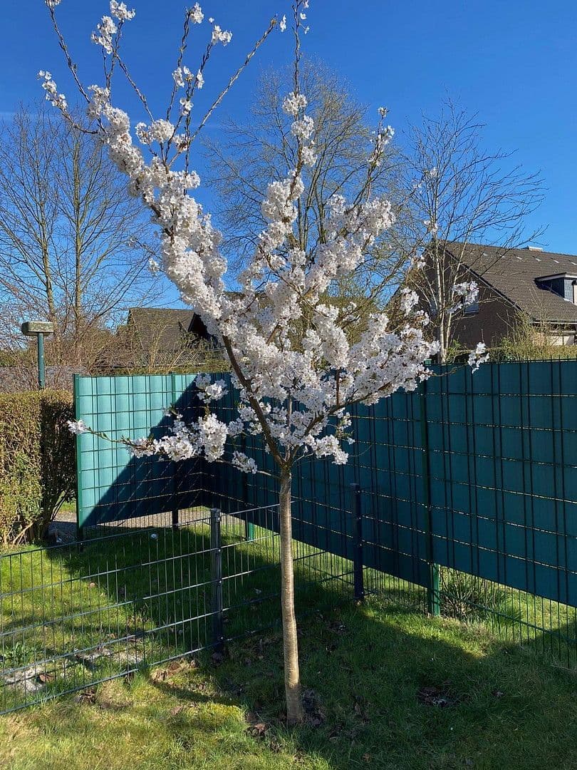 Prodej domu 146 m², pozemek 334 m², Emmi-Ruben-Weg 19F, Hamburg, Hamburg Prodej domu 146 m², pozemek 334 m², Emmi-Ruben-Weg 19F, Hamburg, Hamburg