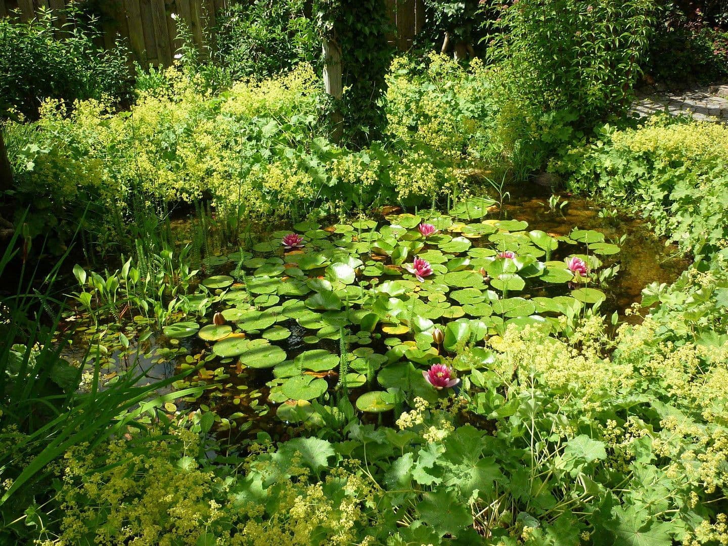 Prodej domu 240 m², pozemek 999 m², Flensburg, Šlesvicko-Holštýnsko Prodej domu 240 m², pozemek 999 m², Flensburg, Šlesvicko-Holštýnsko