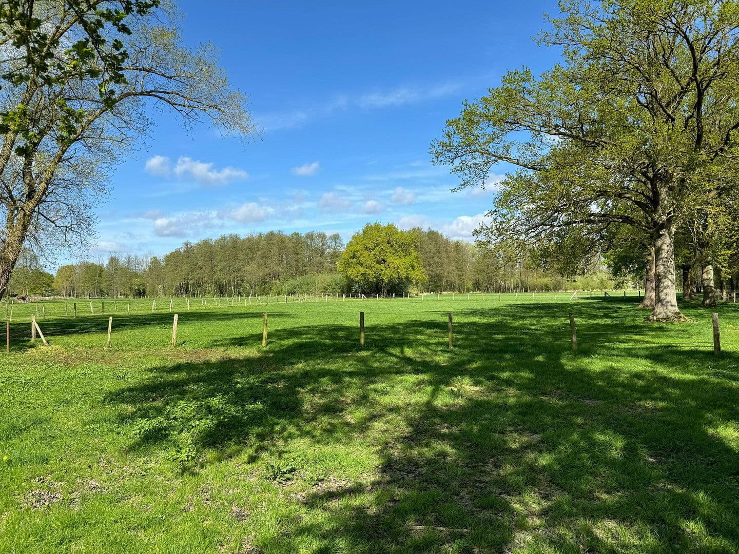 Prodej domu 683 m², pozemek 21.700 m², Bleckede, Dolní Sasko Prodej domu 683 m², pozemek 21.700 m², Bleckede, Dolní Sasko