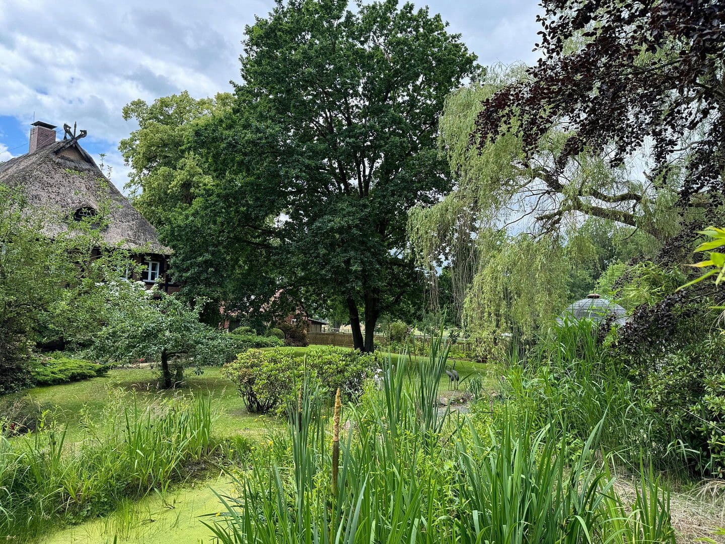 Prodej domu 683 m², pozemek 21.700 m², Bleckede, Dolní Sasko Prodej domu 683 m², pozemek 21.700 m², Bleckede, Dolní Sasko