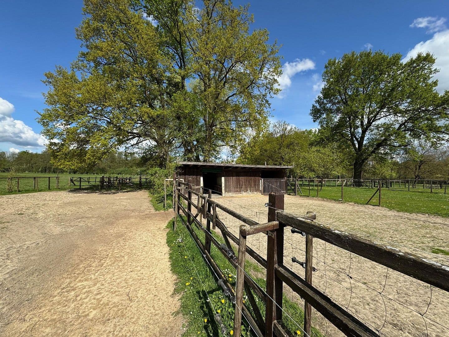 Prodej domu 683 m², pozemek 21.700 m², Bleckede, Dolní Sasko Prodej domu 683 m², pozemek 21.700 m², Bleckede, Dolní Sasko