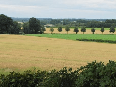 Pronájem bytu 4+1 135 m², Friedrichshöhe 1, Bienenbüttel, Dolní Sasko Pronájem bytu 4+1 135 m², Friedrichshöhe 1, Bienenbüttel, Dolní Sasko