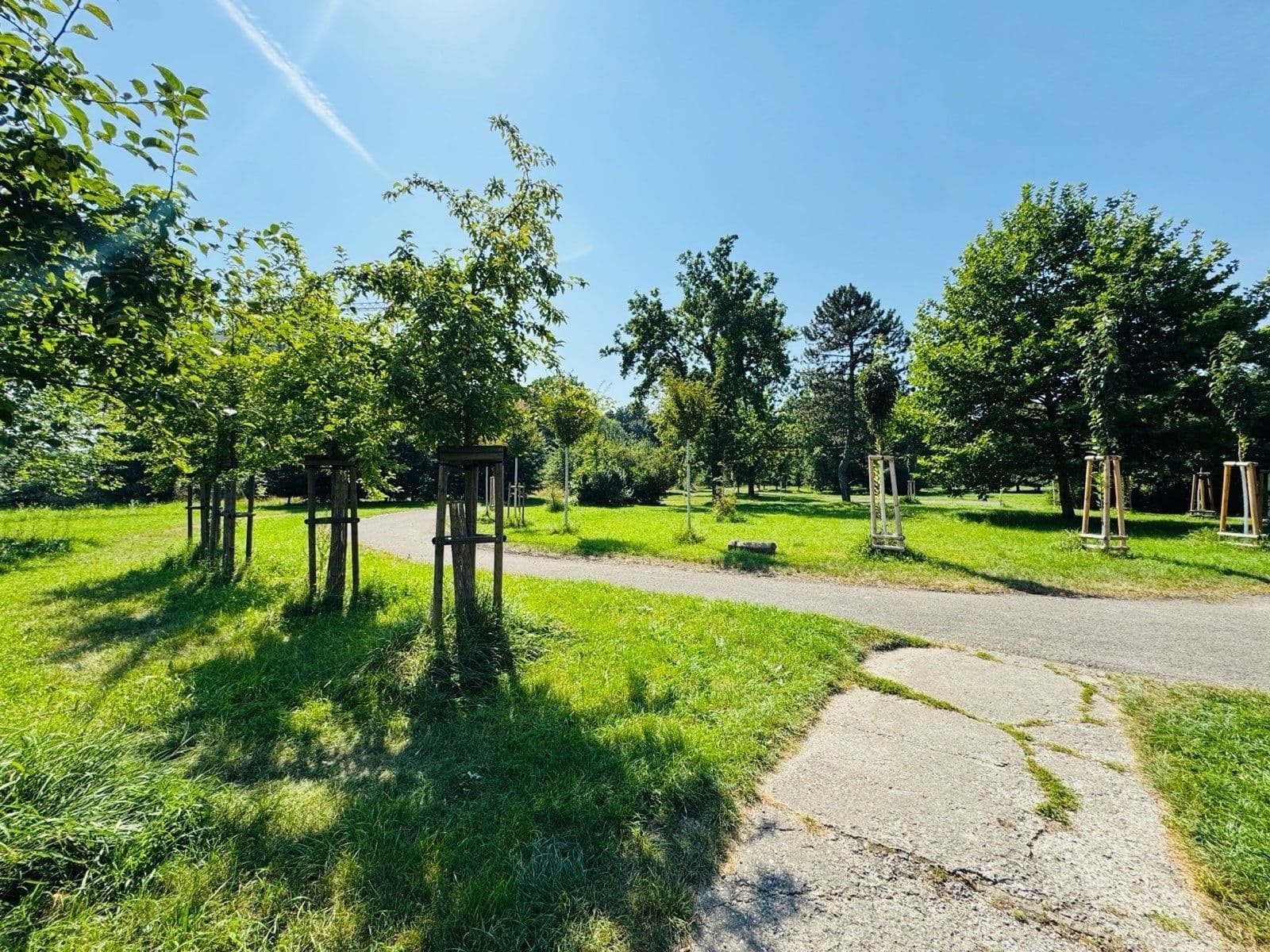 Pronájem bytu 3+1 73 m², Výstavní, Ostrava, Moravskoslezský kraj Pronájem bytu 3+1 73 m², Výstavní, Ostrava, Moravskoslezský kraj