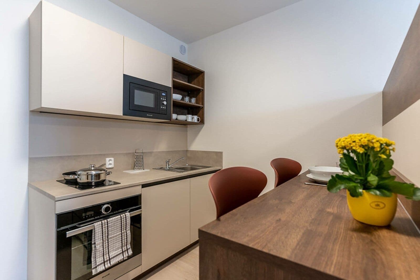 Pronájem bytu 1+kk 27 m², Magisterská, Plzeň, Plzeňský kraj Pronájem bytu 1+kk 27 m², Magisterská, Plzeň, Plzeňský kraj