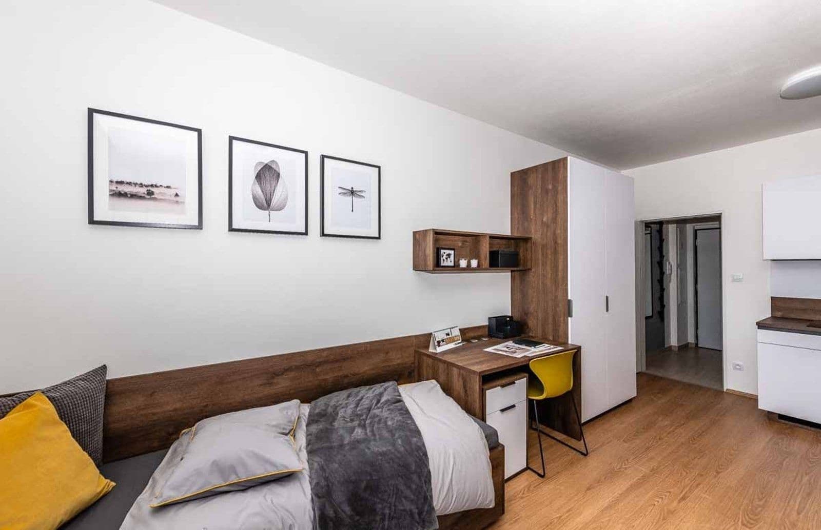 Pronájem bytu 1+kk 28 m², Magisterská, Plzeň, Plzeňský kraj Pronájem bytu 1+kk 28 m², Magisterská, Plzeň, Plzeňský kraj