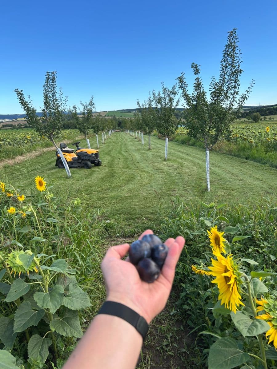 Prodej pozemku 2.899 m², Dolní Němčí, Zlínský kraj Prodej pozemku 2.899 m², Dolní Němčí, Zlínský kraj
