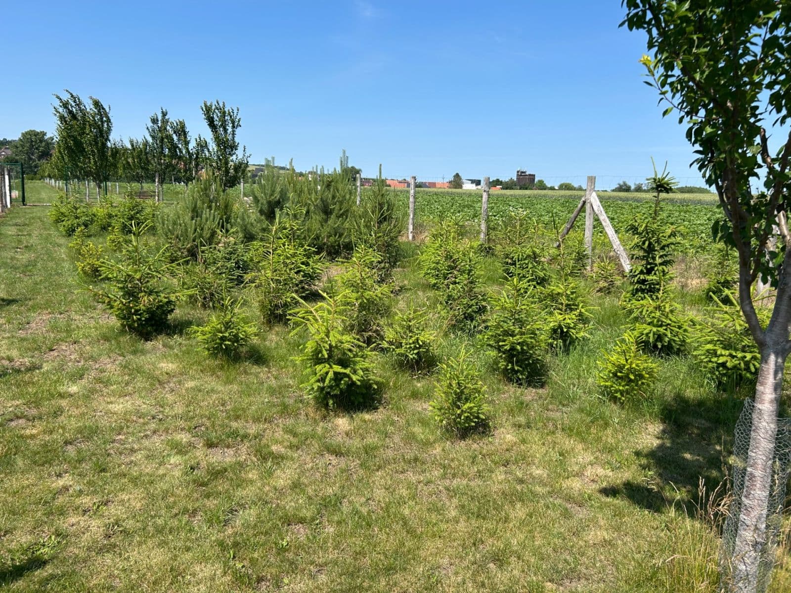 Prodej pozemku 2.899 m², Dolní Němčí, Zlínský kraj Prodej pozemku 2.899 m², Dolní Němčí, Zlínský kraj