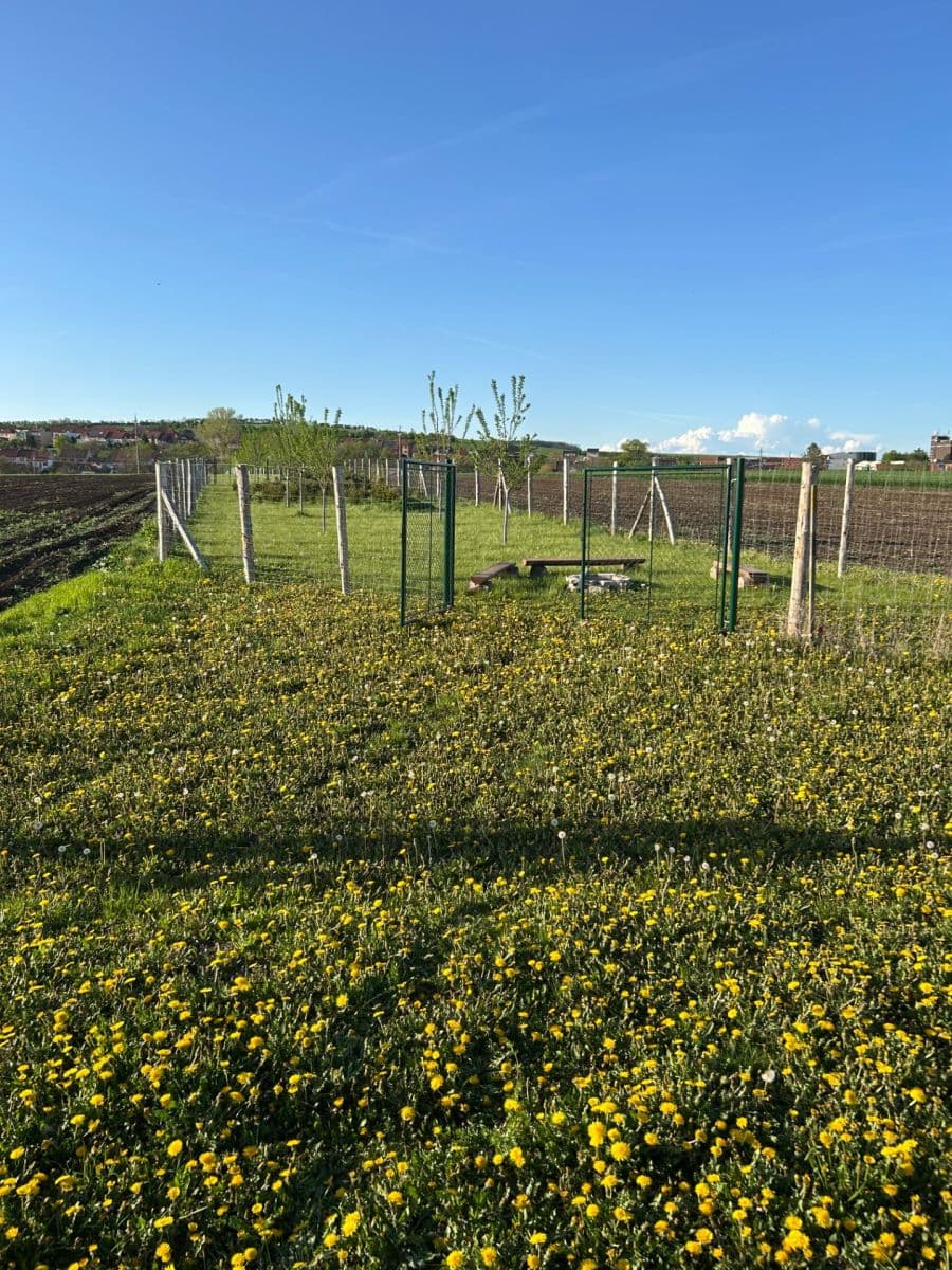 Prodej pozemku 2.899 m², Dolní Němčí, Zlínský kraj Prodej pozemku 2.899 m², Dolní Němčí, Zlínský kraj