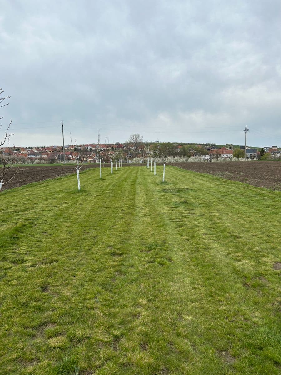 Prodej pozemku 2.899 m², Dolní Němčí, Zlínský kraj Prodej pozemku 2.899 m², Dolní Němčí, Zlínský kraj