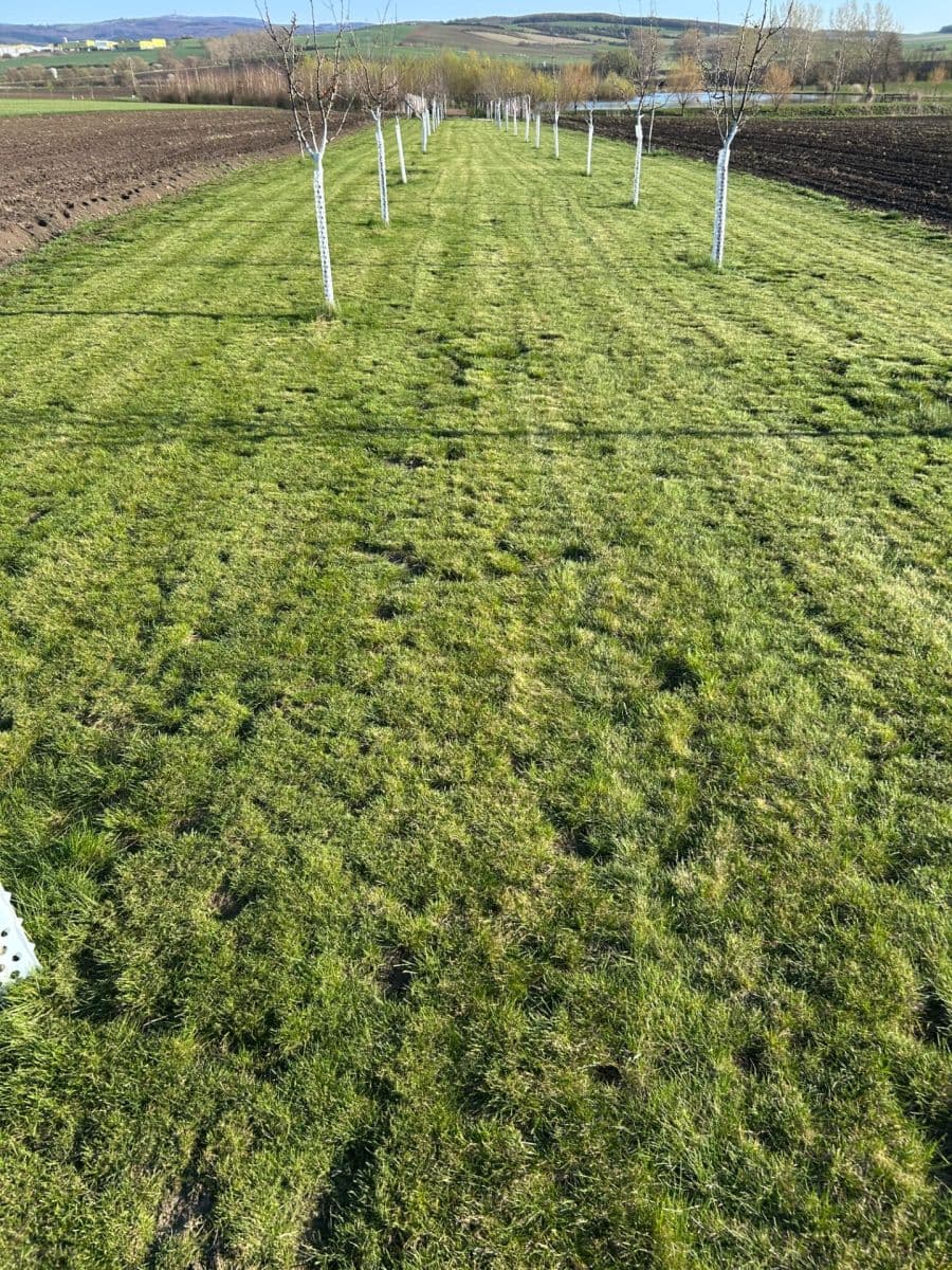 Prodej pozemku 2.899 m², Dolní Němčí, Zlínský kraj Prodej pozemku 2.899 m², Dolní Němčí, Zlínský kraj