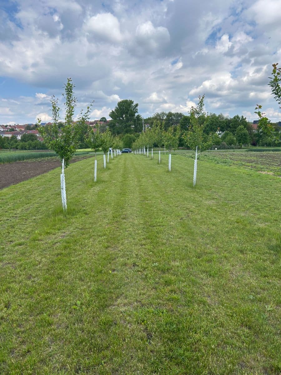 Prodej pozemku 2.899 m², Dolní Němčí, Zlínský kraj Prodej pozemku 2.899 m², Dolní Němčí, Zlínský kraj