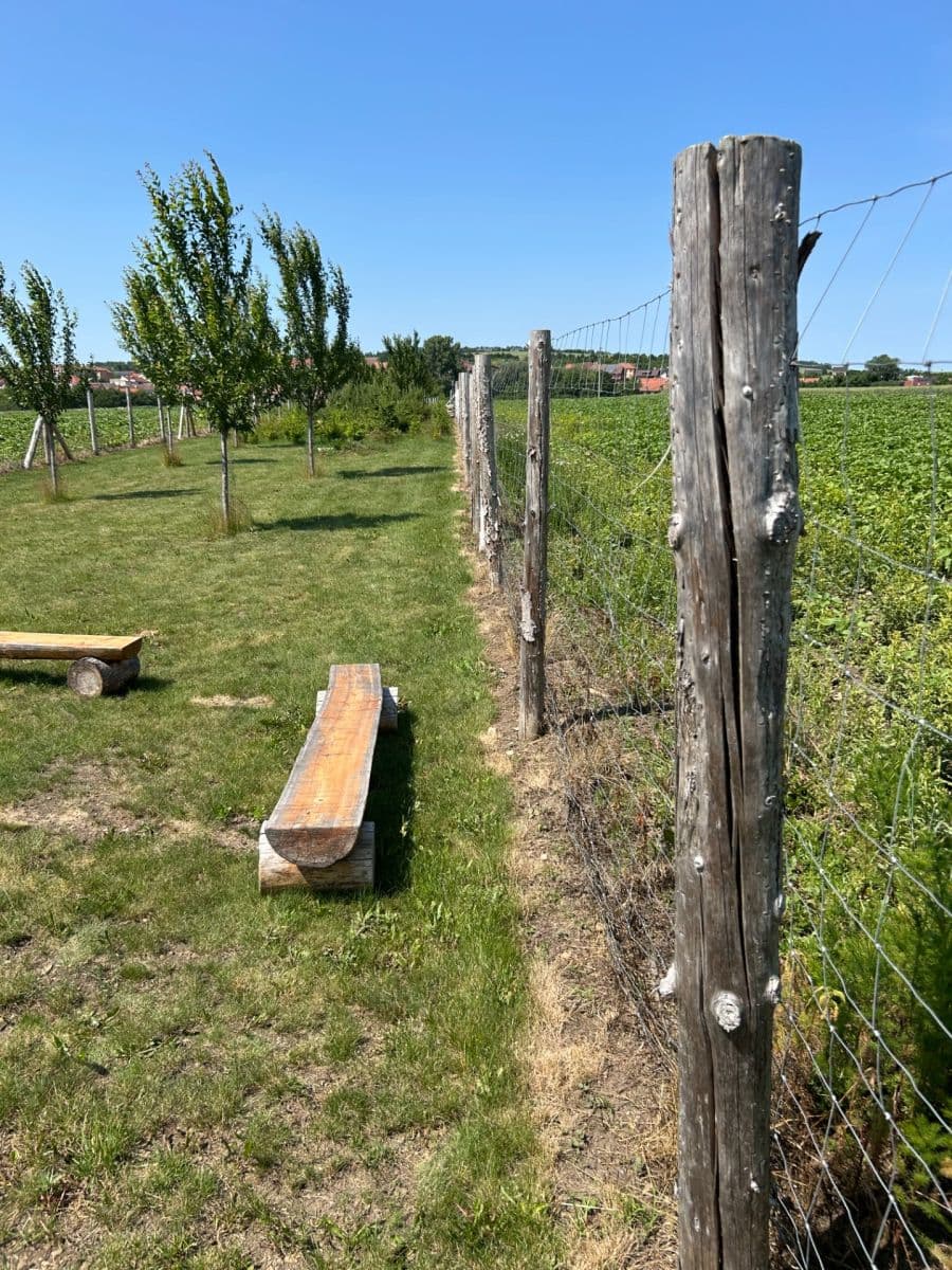 Prodej pozemku 2.899 m², Dolní Němčí, Zlínský kraj Prodej pozemku 2.899 m², Dolní Němčí, Zlínský kraj