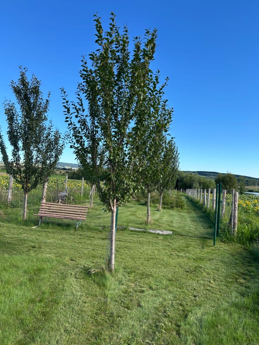 Prodej pozemku 2.899 m², Dolní Němčí, Zlínský kraj Prodej pozemku 2.899 m², Dolní Němčí, Zlínský kraj