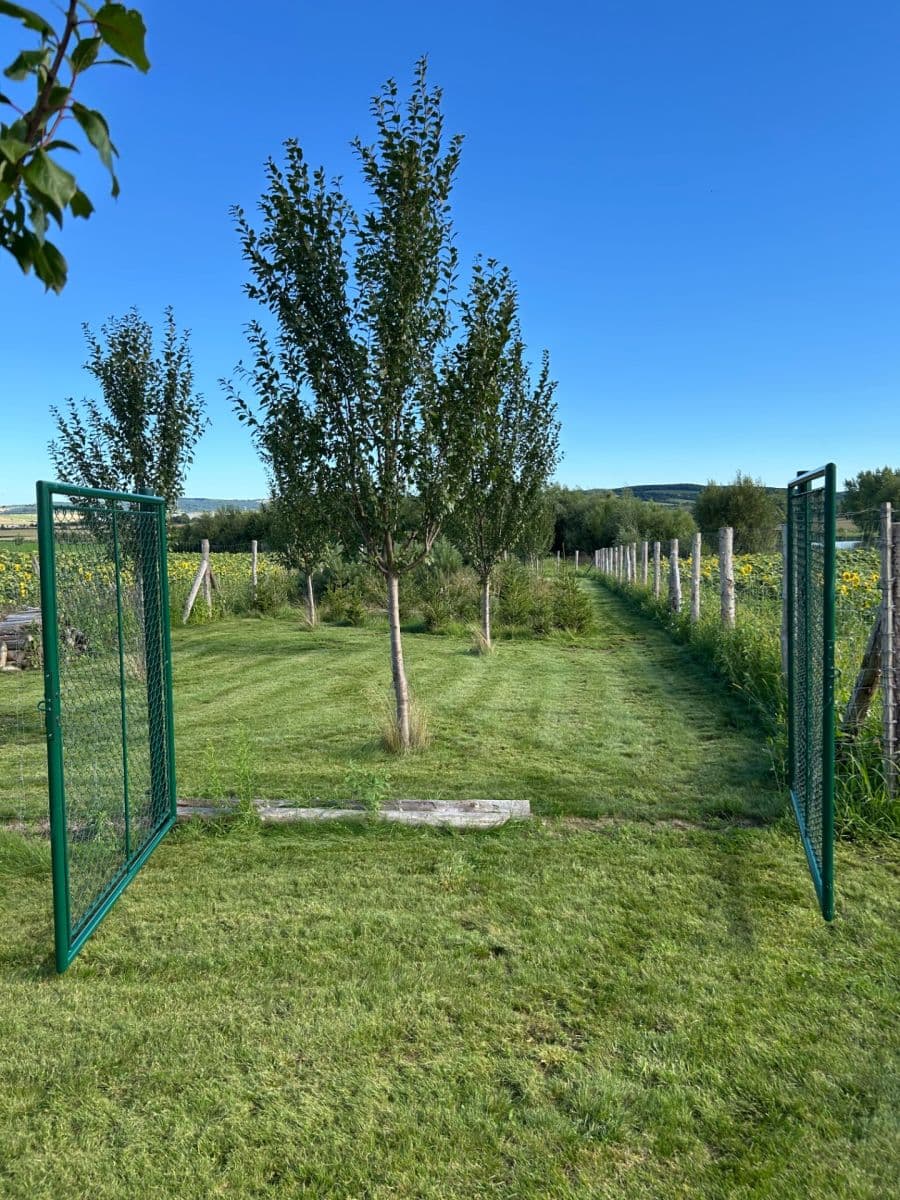 Prodej pozemku 2.899 m², Dolní Němčí, Zlínský kraj Prodej pozemku 2.899 m², Dolní Němčí, Zlínský kraj