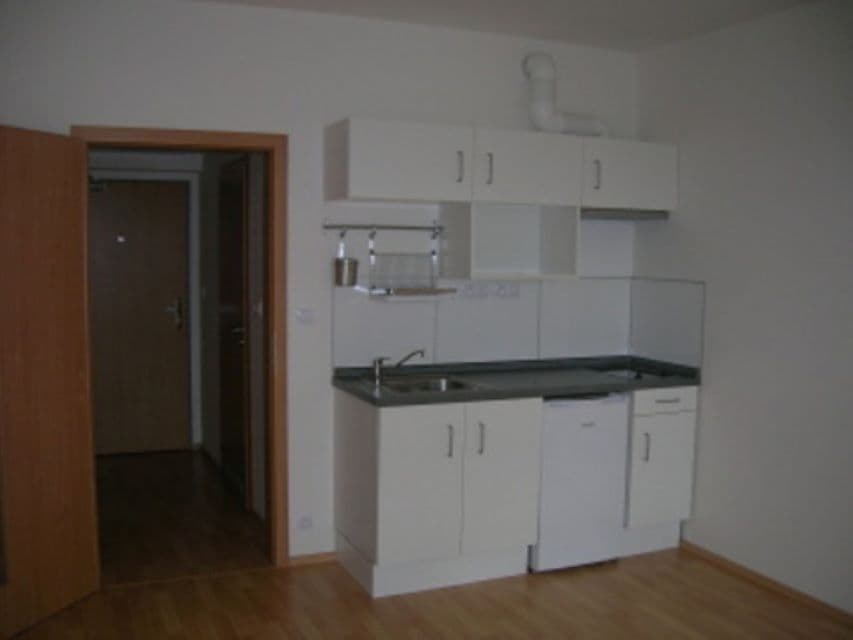 Pronájem bytu 1+kk 26 m², U Slovanky, Praha, Praha Pronájem bytu 1+kk 26 m², U Slovanky, Praha, Praha