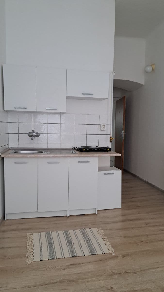 Pronájem bytu 1+1 46 m², Tylova, Plzeň, Plzeňský kraj Pronájem bytu 1+1 46 m², Tylova, Plzeň, Plzeňský kraj