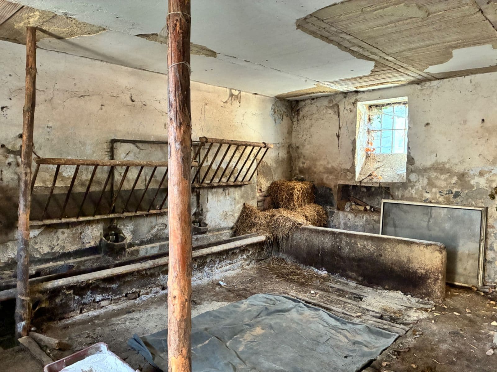 Prodej domu 300 m², pozemek 917 m², Dobříkov, Pardubický kraj Prodej domu 300 m², pozemek 917 m², Dobříkov, Pardubický kraj