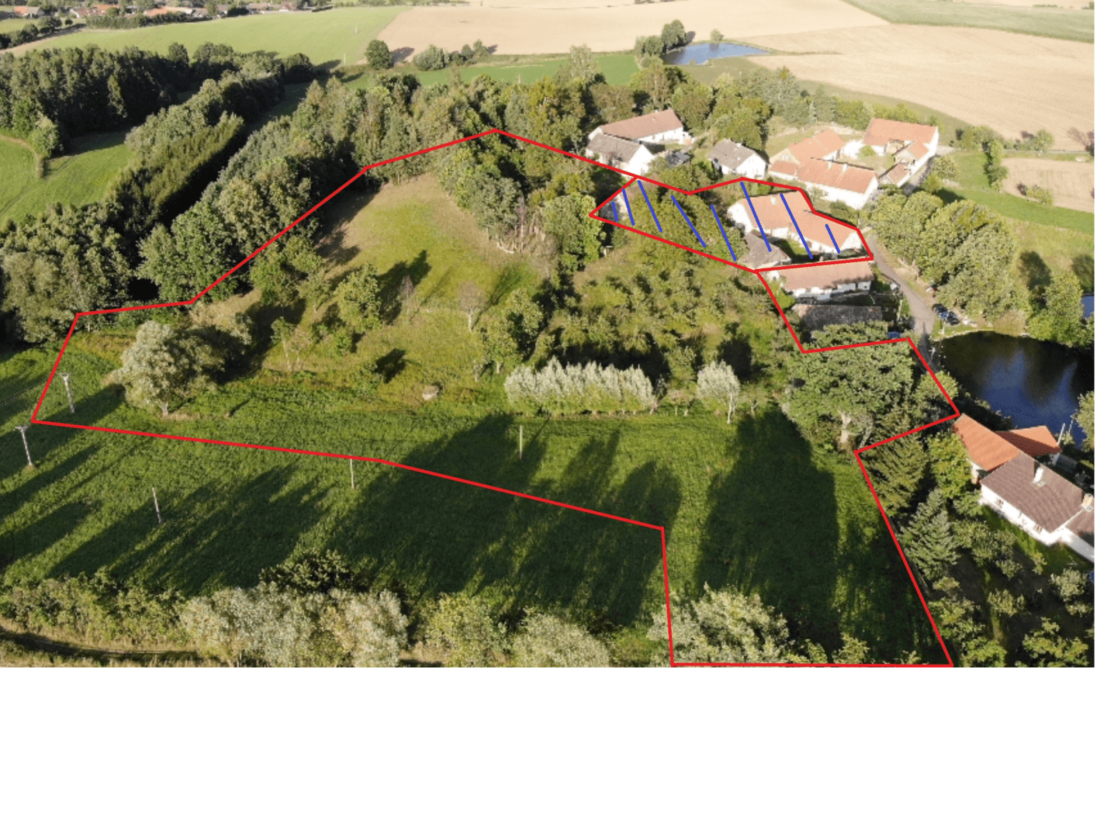 Prodej domu 260 m², pozemek 3.000 m², Heřmaničky, Středočeský kraj Prodej domu 260 m², pozemek 3.000 m², Heřmaničky, Středočeský kraj