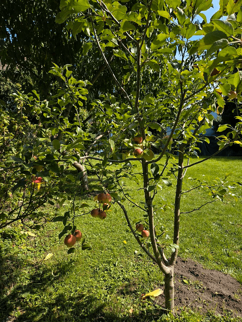 Prodej domu 160 m², pozemek 555 m², Hermann-Strebel-Str. 11, Nürnberg, Bavorsko Prodej domu 160 m², pozemek 555 m², Hermann-Strebel-Str. 11, Nürnberg, Bavorsko