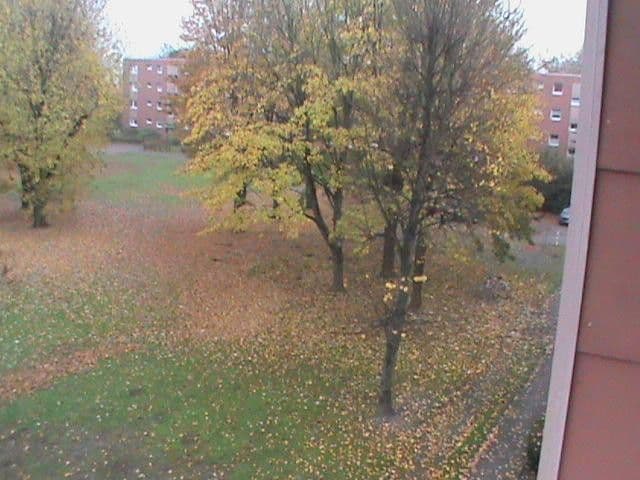 Pronájem bytu 3+1 80 m², Unstrutstrasse 12, Braunschweig, Dolní Sasko Pronájem bytu 3+1 80 m², Unstrutstrasse 12, Braunschweig, Dolní Sasko