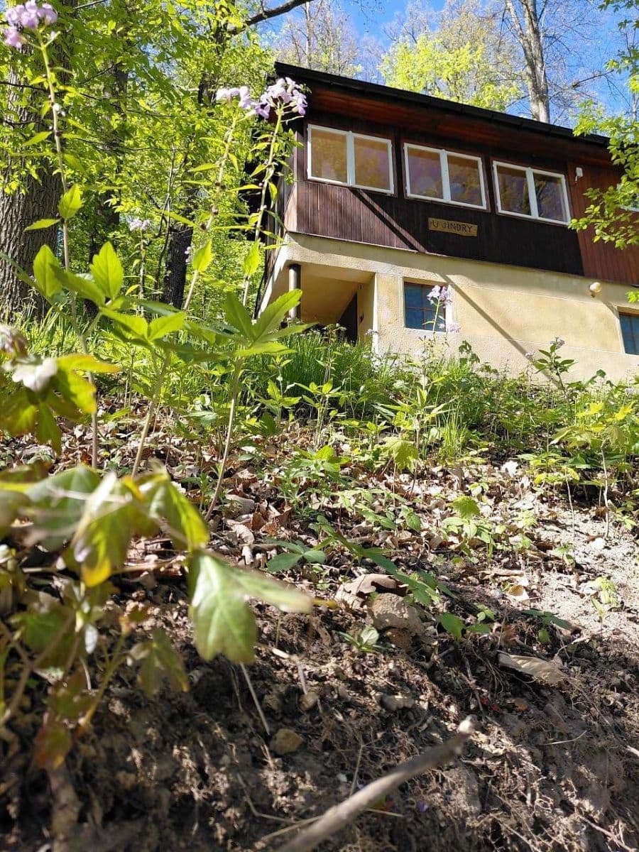 Pronájem chaty, chalupy, Bítov, Jihomoravský kraj Pronájem chaty, chalupy, Bítov, Jihomoravský kraj