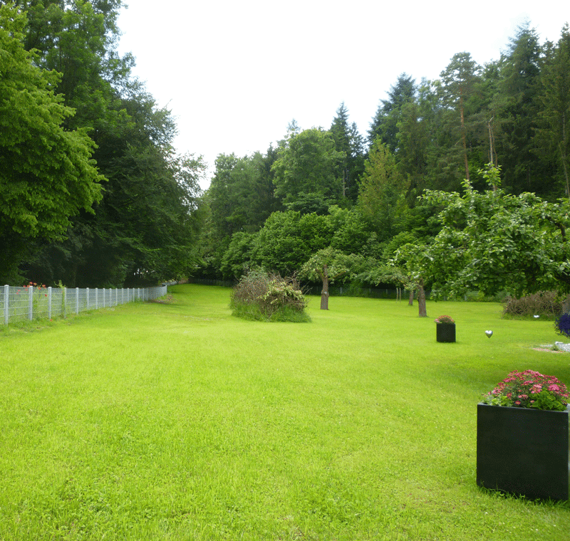 Prodej domu 196 m², pozemek 6.755 m², Bad Saulgau, Bádensko-Württembersko Prodej domu 196 m², pozemek 6.755 m², Bad Saulgau, Bádensko-Württembersko