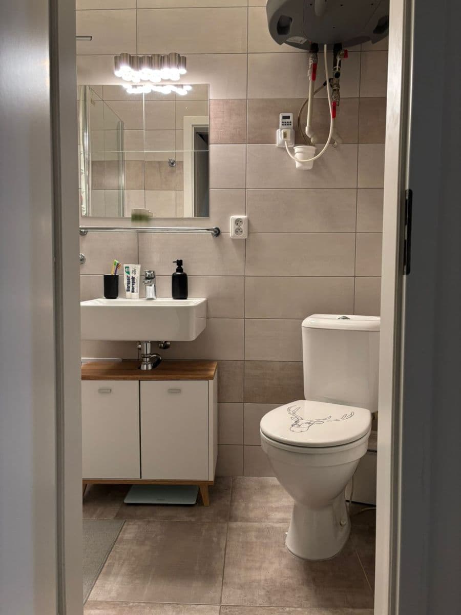Pronájem bytu 2+1 54 m², Špitálka, Brno, Jihomoravský kraj Pronájem bytu 2+1 54 m², Špitálka, Brno, Jihomoravský kraj