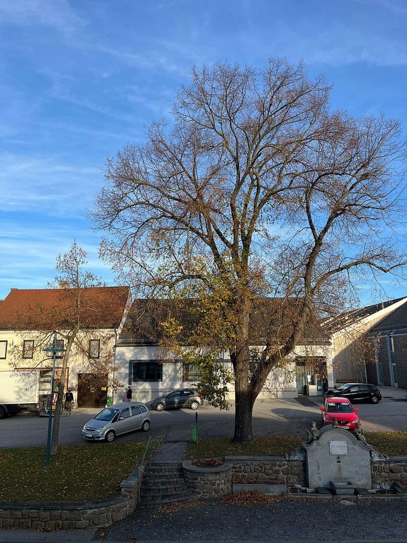 Pronájem bytu 6+1 163 m², Hauptplatz 20, Großweikersdorf, Dolní Rakousko Pronájem bytu 6+1 163 m², Hauptplatz 20, Großweikersdorf, Dolní Rakousko