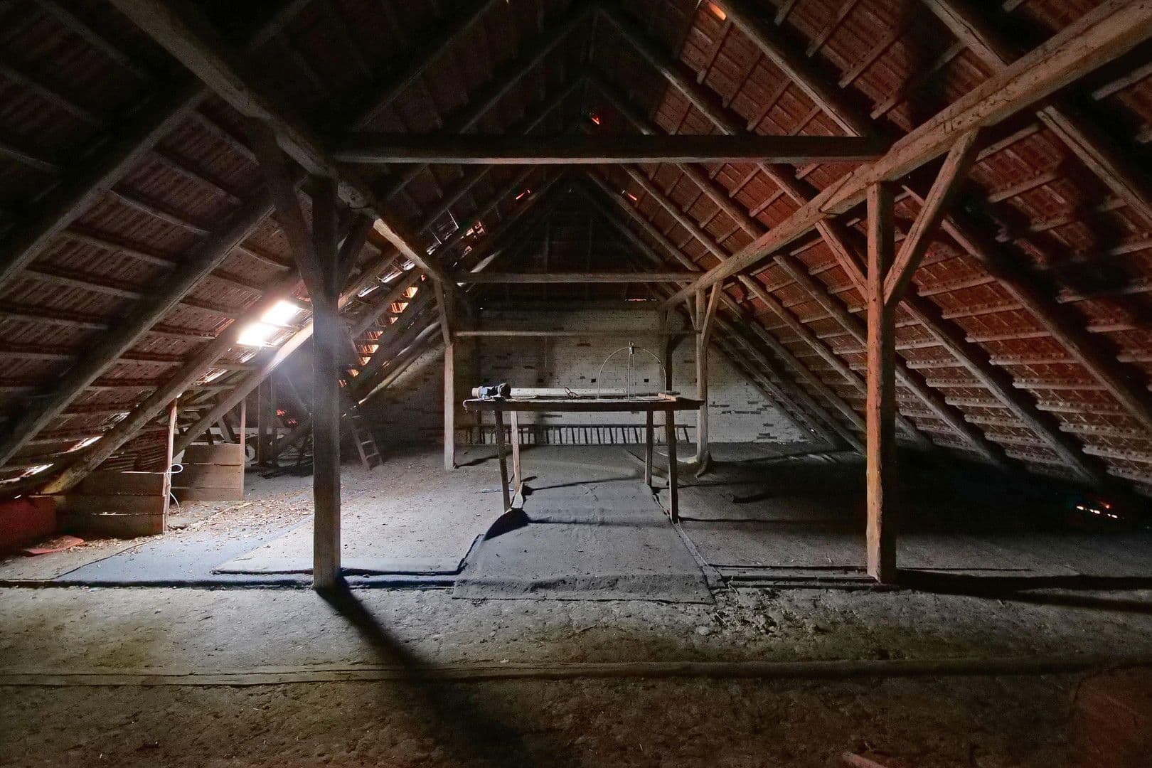 Prodej domu 144 m², pozemek 3.000 m², Brockum, Dolní Sasko Prodej domu 144 m², pozemek 3.000 m², Brockum, Dolní Sasko