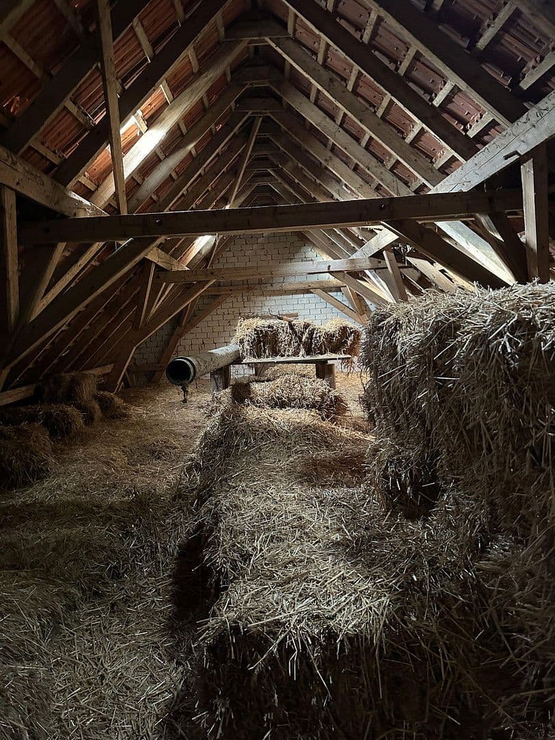 Prodej domu 144 m², pozemek 3.000 m², Brockum, Dolní Sasko Prodej domu 144 m², pozemek 3.000 m², Brockum, Dolní Sasko