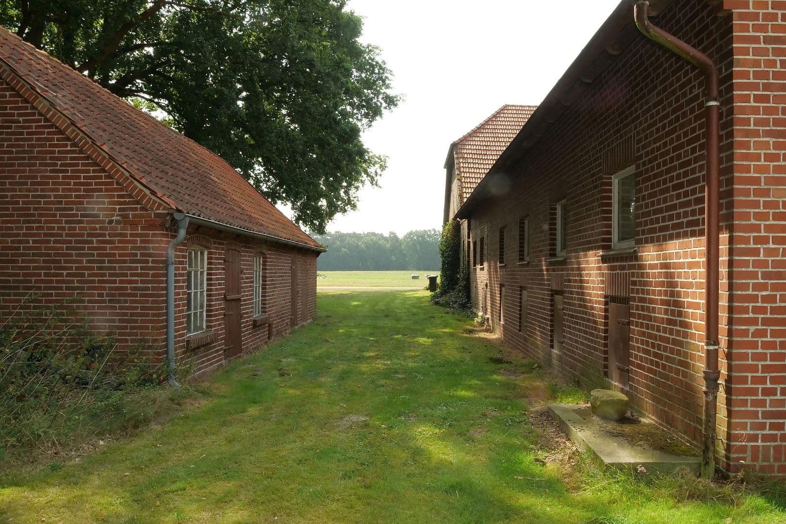 Prodej domu 144 m², pozemek 3.000 m², Brockum, Dolní Sasko Prodej domu 144 m², pozemek 3.000 m², Brockum, Dolní Sasko