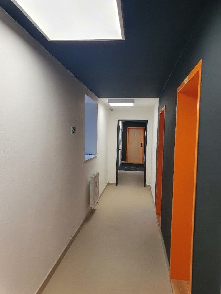 Pronájem bytu 1+kk 19 m², U Lidového domu, Praha, Praha Pronájem bytu 1+kk 19 m², U Lidového domu, Praha, Praha