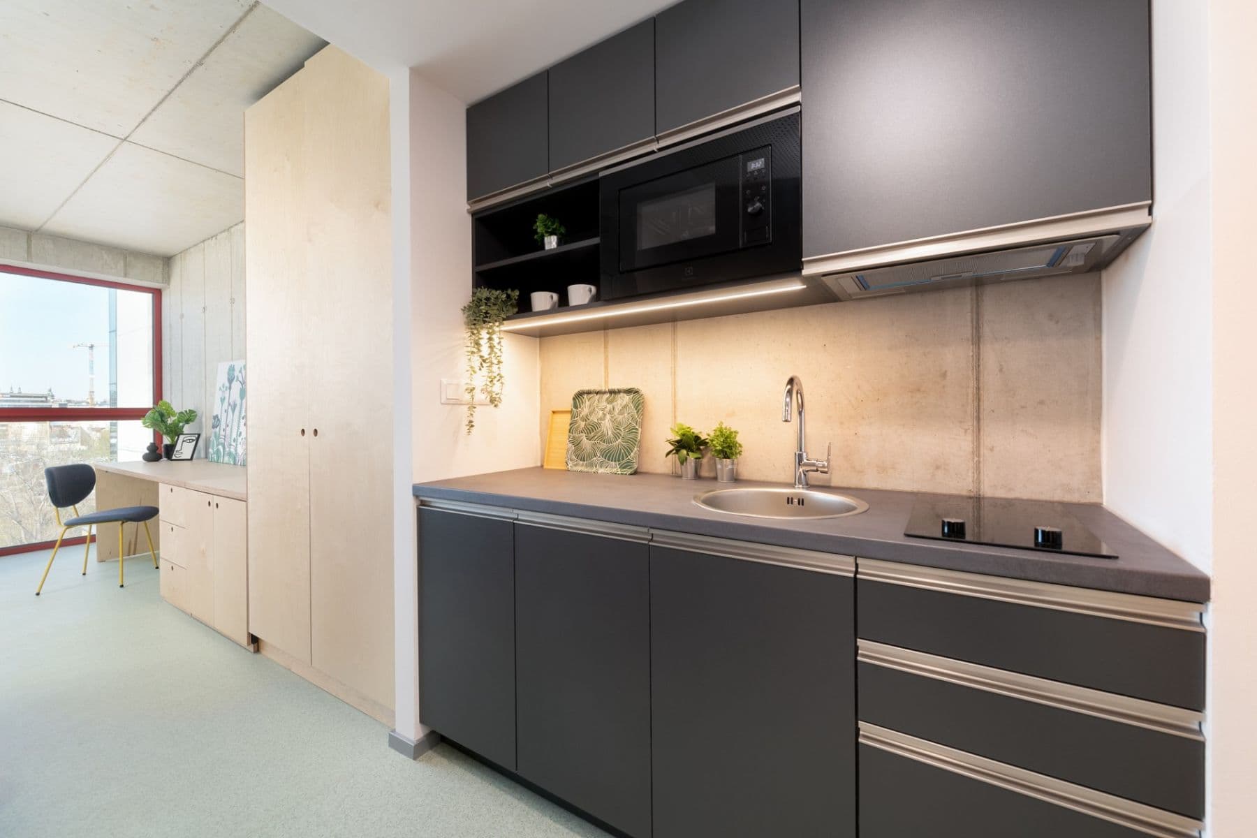 Pronájem bytu 1+kk 24 m², Dornych, Brno, Jihomoravský kraj Pronájem bytu 1+kk 24 m², Dornych, Brno, Jihomoravský kraj