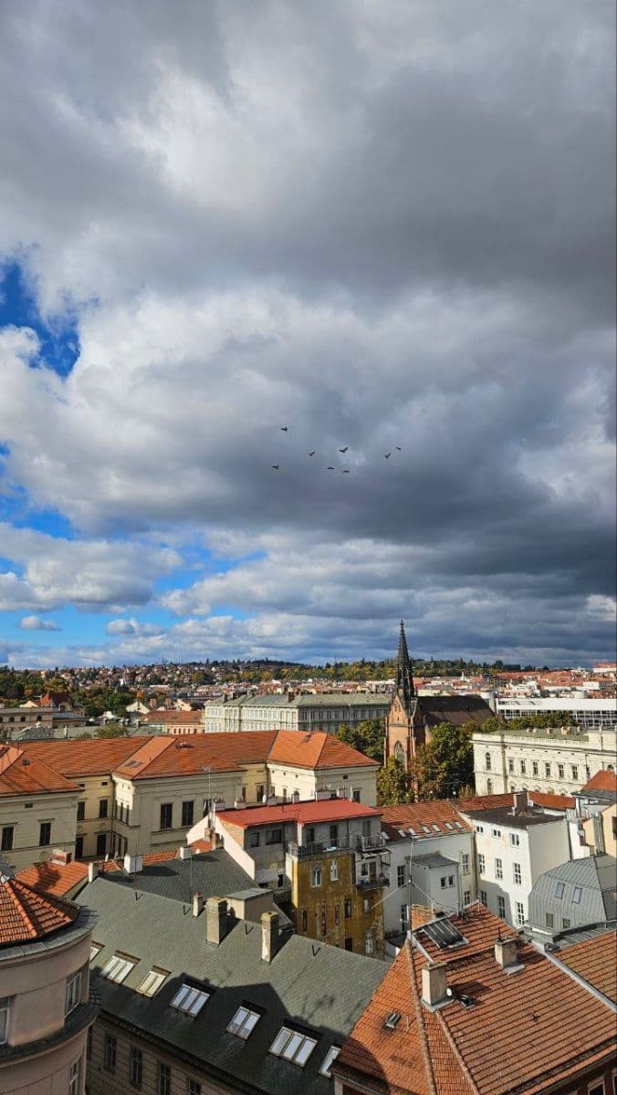 Pronájem nebytového prostoru 150 m², Česká, Brno, Jihomoravský kraj Pronájem nebytového prostoru 150 m², Česká, Brno, Jihomoravský kraj