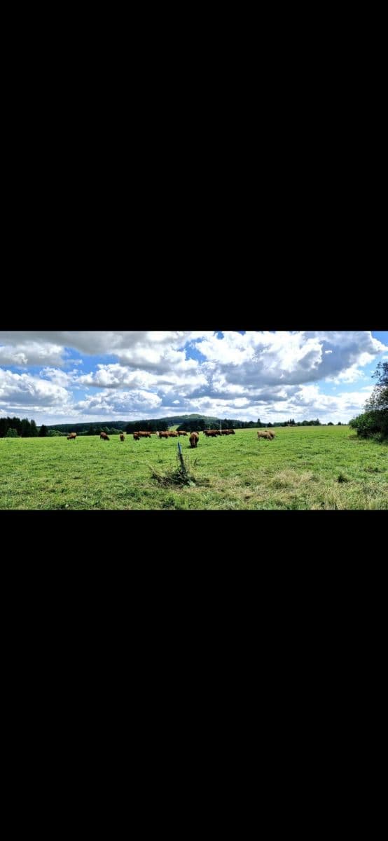 Prodej pozemku 571 m², Zádub-Závišín, Karlovarský kraj Prodej pozemku 571 m², Zádub-Závišín, Karlovarský kraj