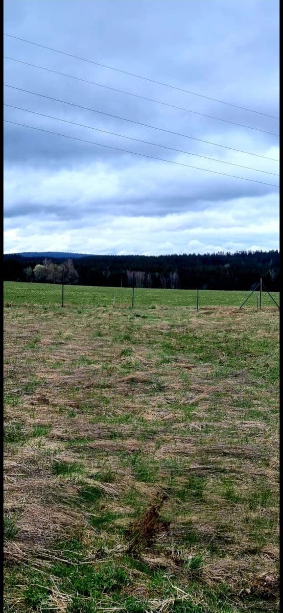 Prodej pozemku 571 m², Zádub-Závišín, Karlovarský kraj Prodej pozemku 571 m², Zádub-Závišín, Karlovarský kraj