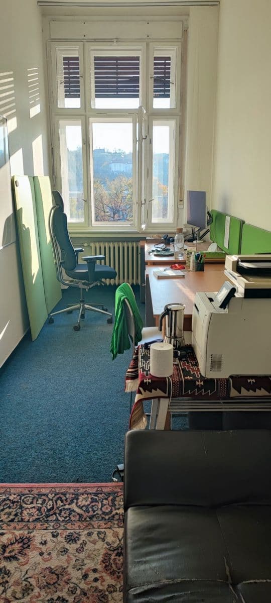 Pronájem kanceláře 49 m², Opletalova, Praha, Praha Pronájem kanceláře 49 m², Opletalova, Praha, Praha