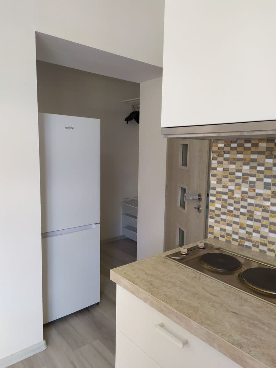 Pronájem bytu 1+kk 32 m², Slepá, Milovice, Středočeský kraj Pronájem bytu 1+kk 32 m², Slepá, Milovice, Středočeský kraj