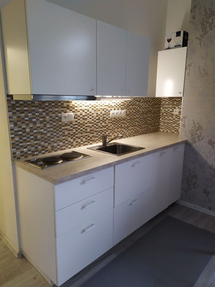 Pronájem bytu 1+kk 32 m², Slepá, Milovice, Středočeský kraj Pronájem bytu 1+kk 32 m², Slepá, Milovice, Středočeský kraj