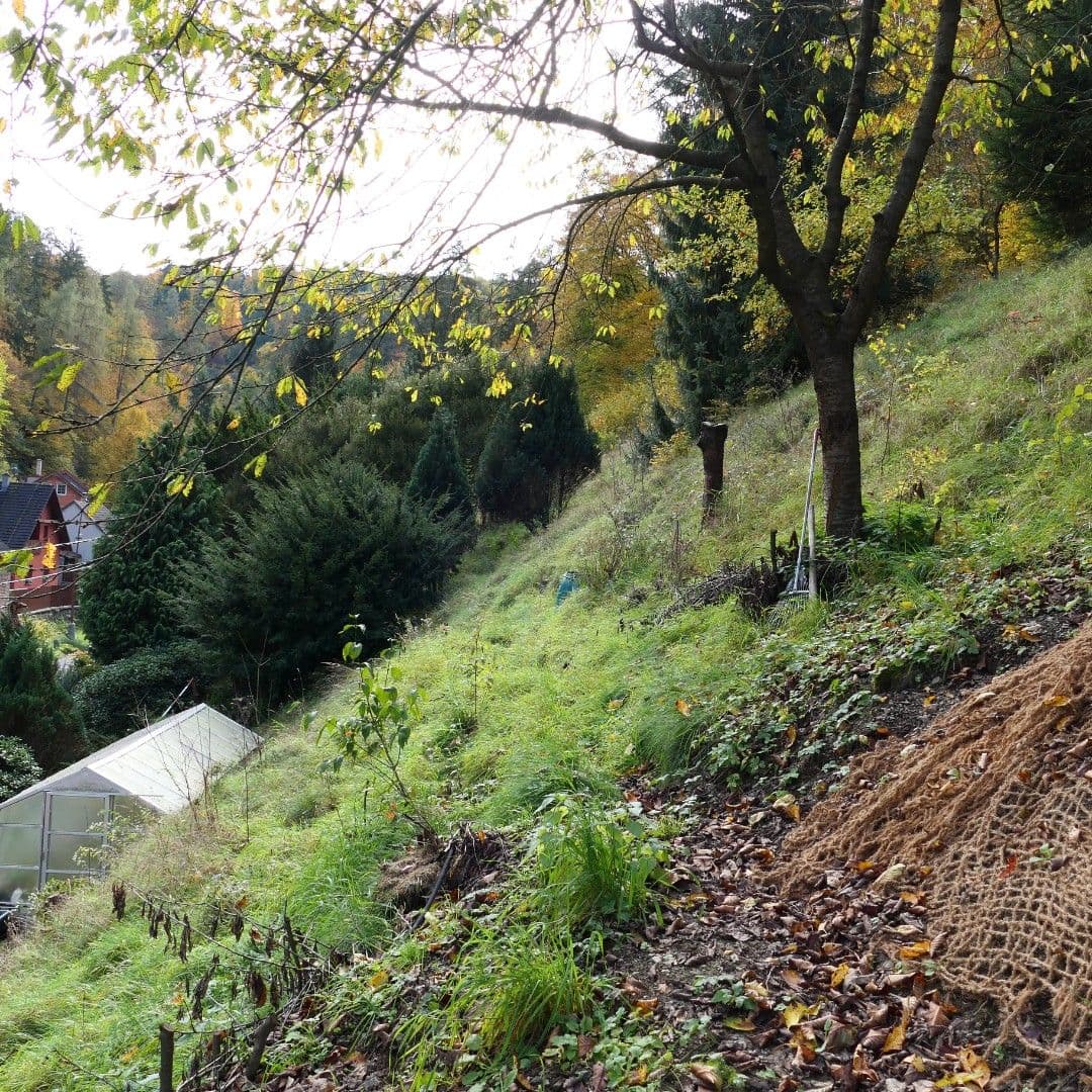 Prodej domu 55 m², pozemek 2.200 m², Zadní konce, Štěchovice, Středočeský kraj Prodej domu 55 m², pozemek 2.200 m², Zadní konce, Štěchovice, Středočeský kraj