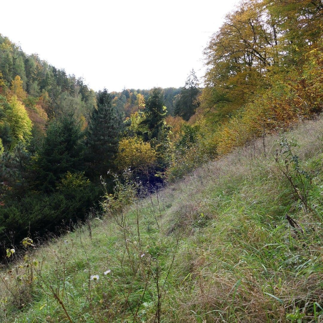 Prodej domu 55 m², pozemek 2.200 m², Zadní konce, Štěchovice, Středočeský kraj Prodej domu 55 m², pozemek 2.200 m², Zadní konce, Štěchovice, Středočeský kraj