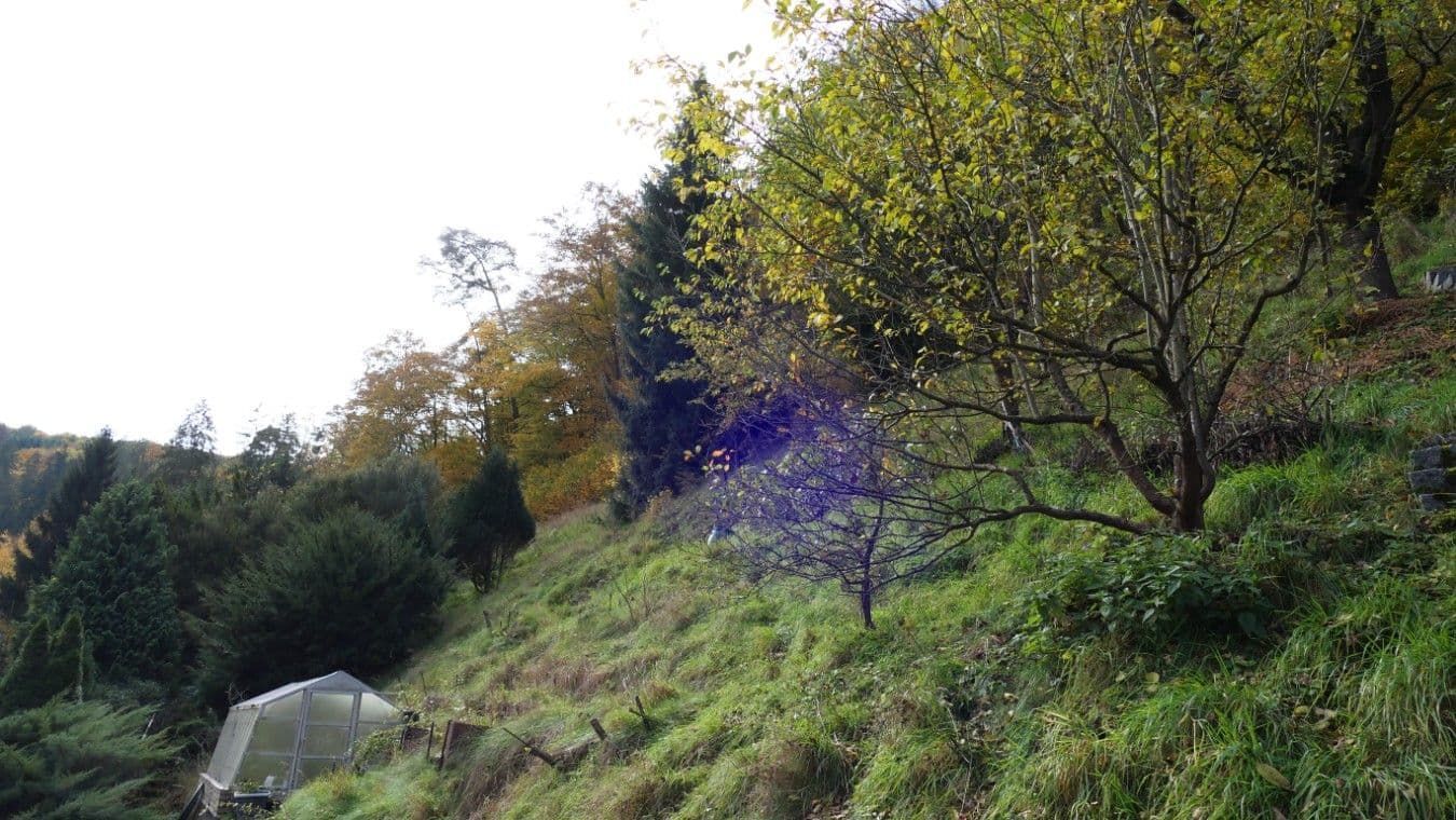 Prodej domu 55 m², pozemek 2.200 m², Zadní konce, Štěchovice, Středočeský kraj Prodej domu 55 m², pozemek 2.200 m², Zadní konce, Štěchovice, Středočeský kraj