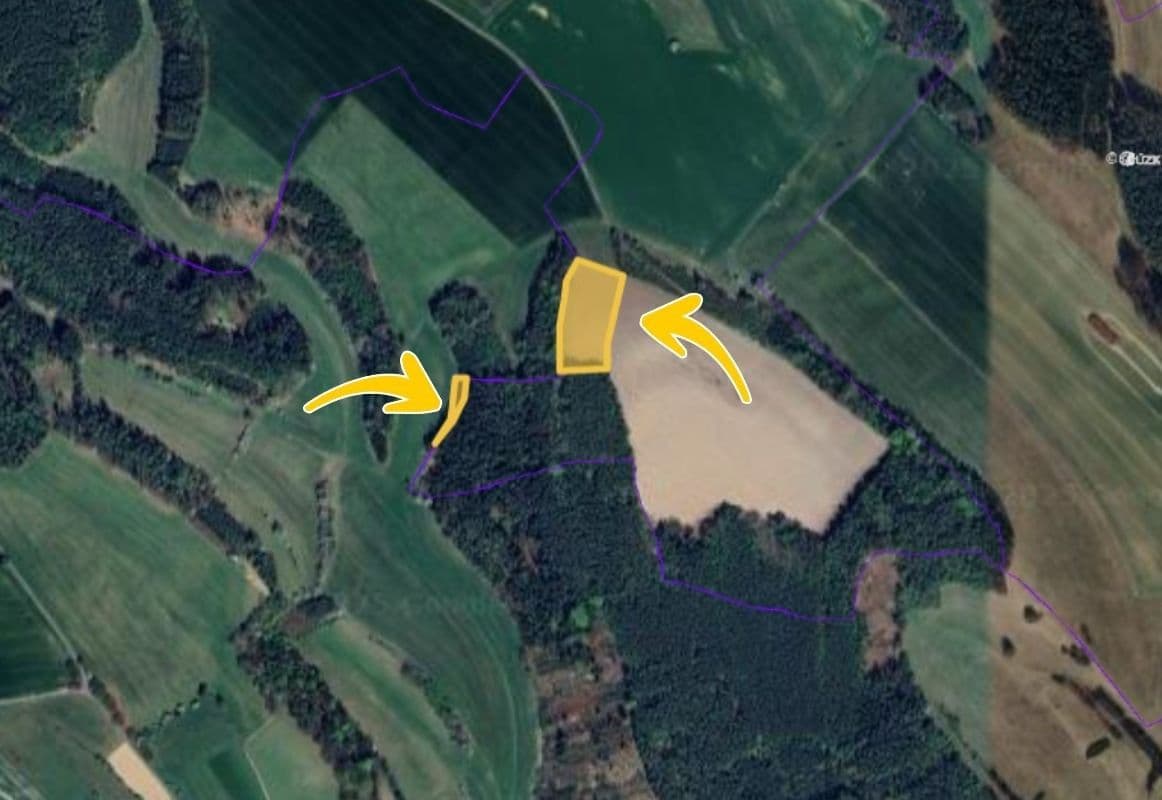 Prodej pozemku 9.898 m², Bílá, Liberecký kraj Prodej pozemku 9.898 m², Bílá, Liberecký kraj