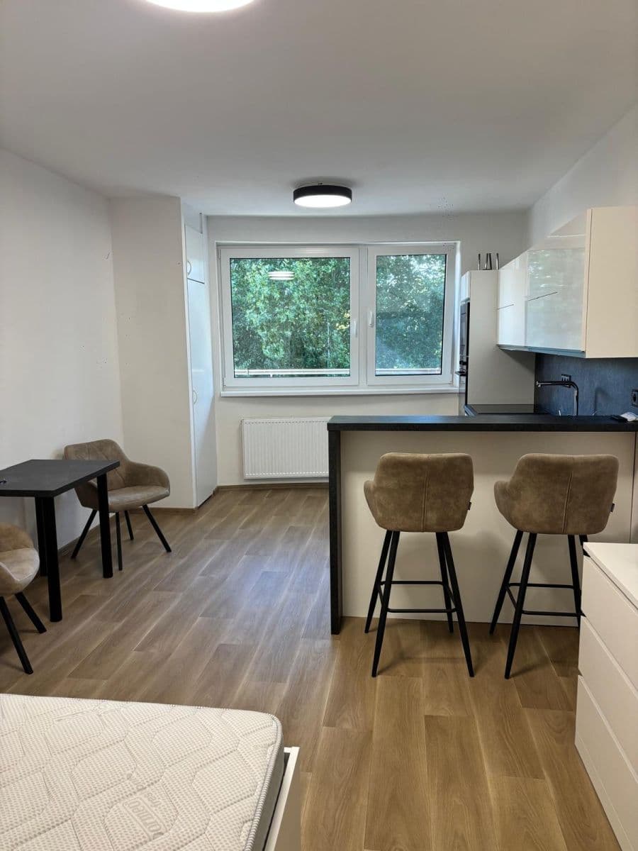 Pronájem bytu 1+kk 36 m², nábřeží Závodu míru, Pardubice, Pardubický kraj Pronájem bytu 1+kk 36 m², nábřeží Závodu míru, Pardubice, Pardubický kraj