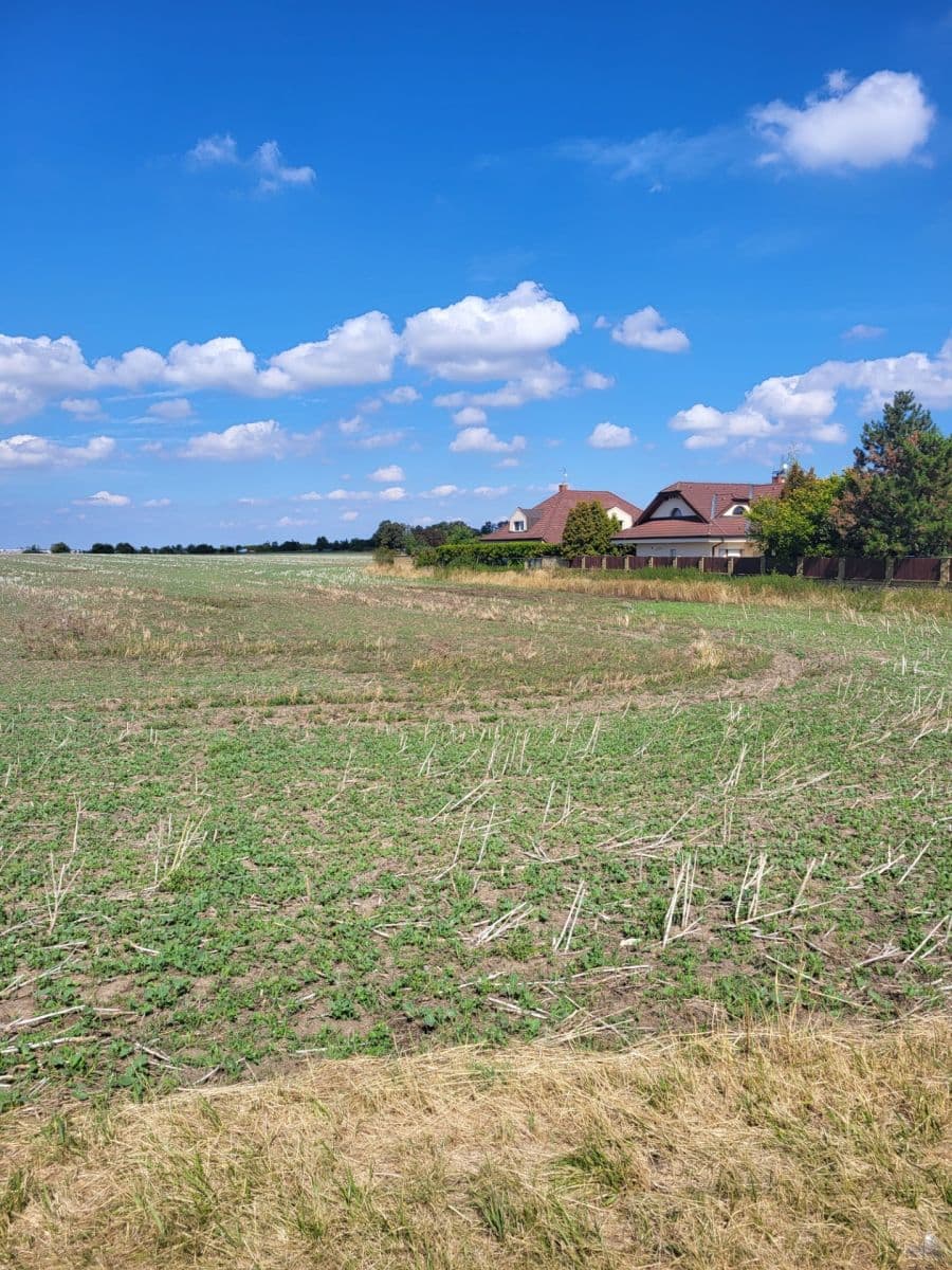 Prodej pozemku 4.212 m², K Dubečku, Praha, Praha Prodej pozemku 4.212 m², K Dubečku, Praha, Praha