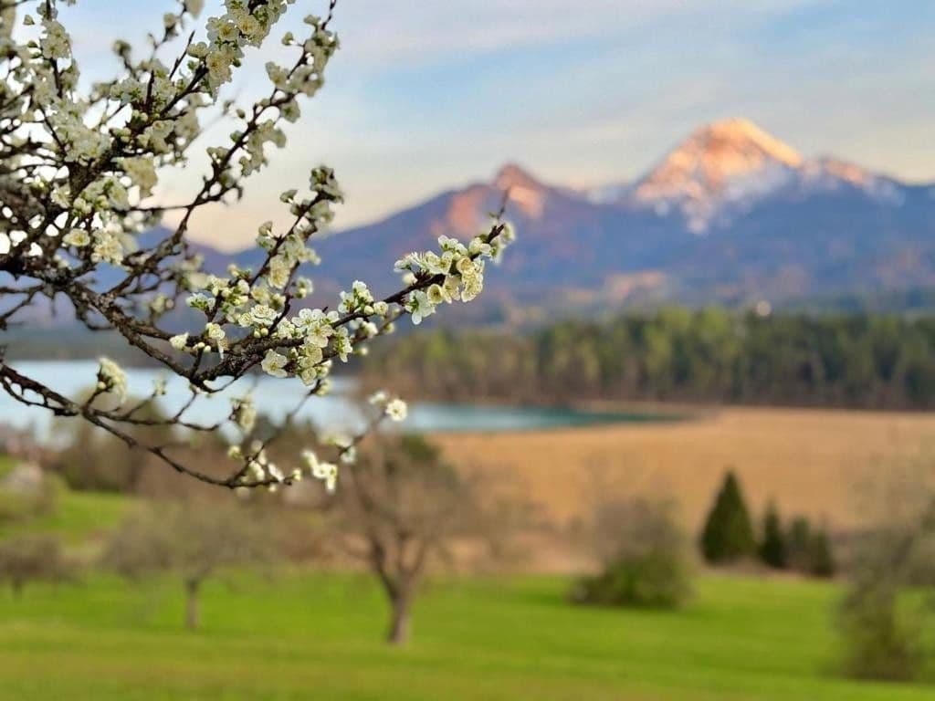 Prodej bytu 1+1 22 m², Faak am See, Korutany Prodej bytu 1+1 22 m², Faak am See, Korutany