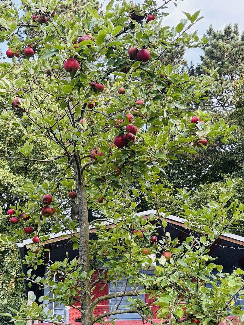 Prodej pozemku 701 m², Lohrberg, Seckbach, Frankfurt am Main, Hessen Prodej pozemku 701 m², Lohrberg, Seckbach, Frankfurt am Main, Hessen