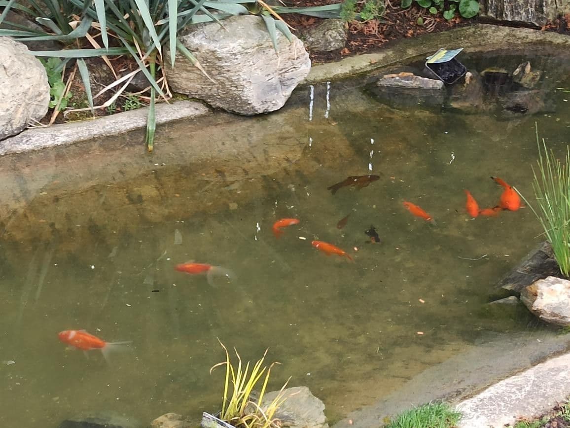 Prodej domu 127 m², pozemek 1.350 m², Kralupská, Statenice, Středočeský kraj Prodej domu 127 m², pozemek 1.350 m², Kralupská, Statenice, Středočeský kraj