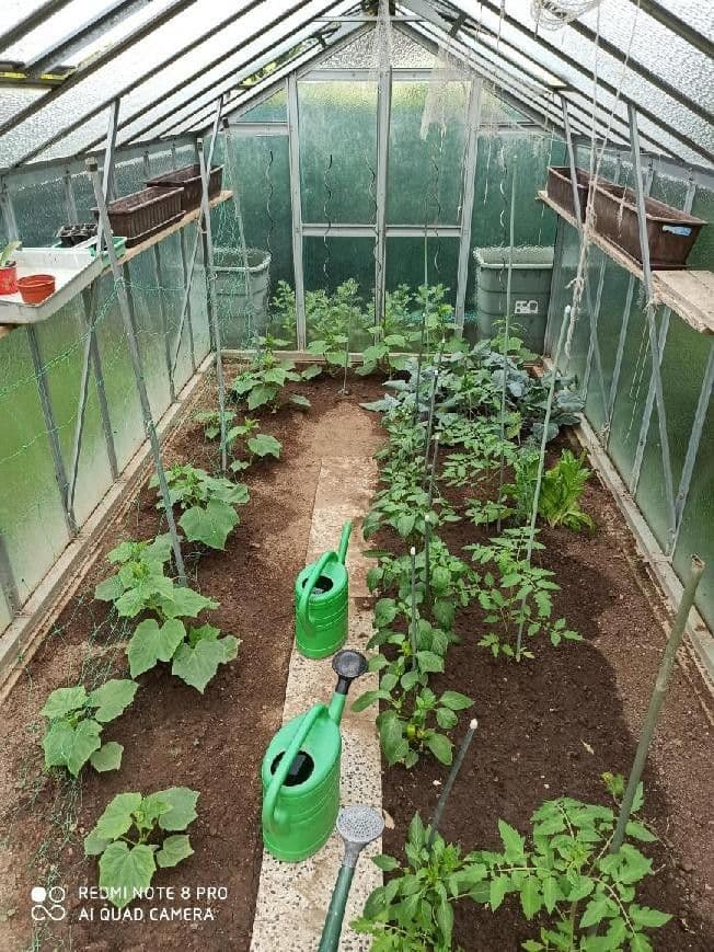 Prodej domu 127 m², pozemek 1.350 m², Kralupská, Statenice, Středočeský kraj Prodej domu 127 m², pozemek 1.350 m², Kralupská, Statenice, Středočeský kraj