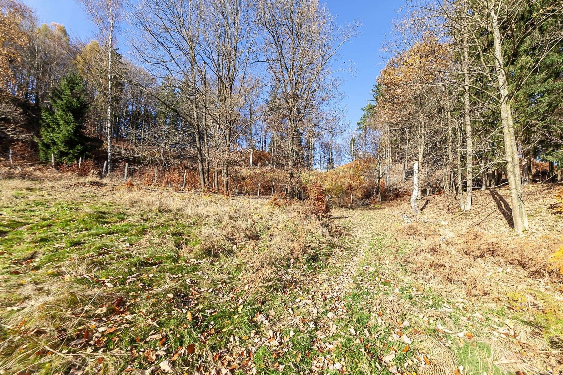 Prodej pozemku 3.373 m², Prysk, Liberecký kraj Prodej pozemku 3.373 m², Prysk, Liberecký kraj